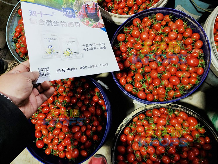 夫沃施進(jìn)口肥怎么樣？
