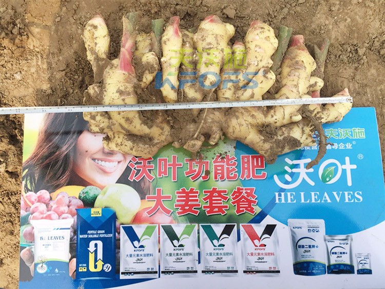 水溶肥用量少，可是效果卻很好！