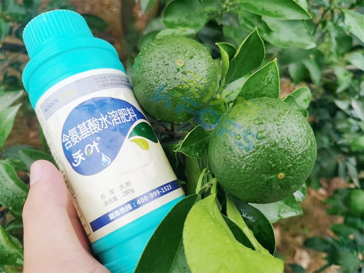 柑橘膨果轉(zhuǎn)色期用什么水溶肥好？