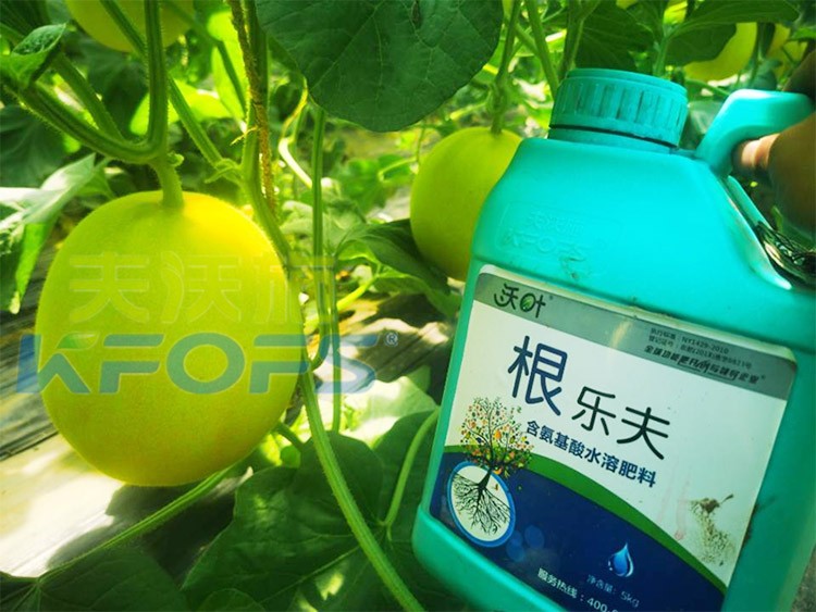 甜瓜用哪個(gè)水溶肥廠家的產(chǎn)品好？