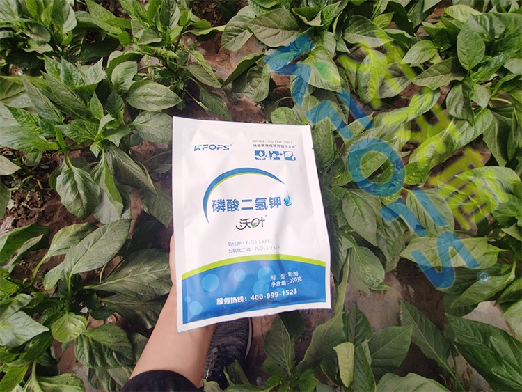 磷酸二氫鉀廠家，這家不要錯(cuò)過！