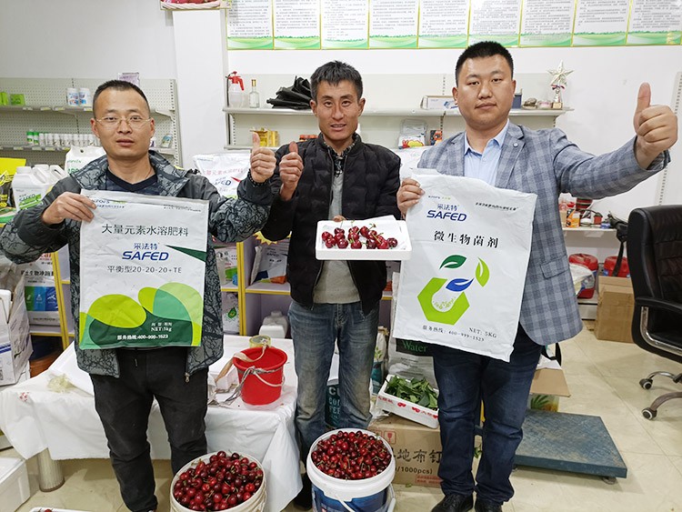水溶肥哪家好？看完這篇不疑惑！
