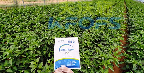 磷酸二氫鉀不好用？那是因?yàn)闆](méi)選對(duì)！