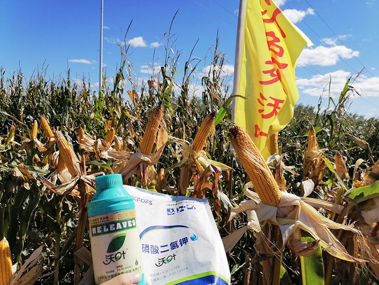 玉米葉面肥哪個(gè)品牌好？