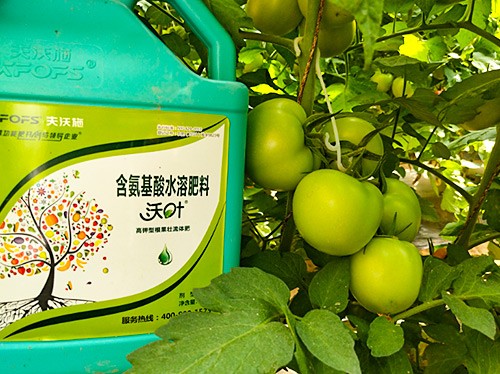 蔬菜沖施肥哪個(gè)品牌好？經(jīng)驗(yàn)實(shí)談
