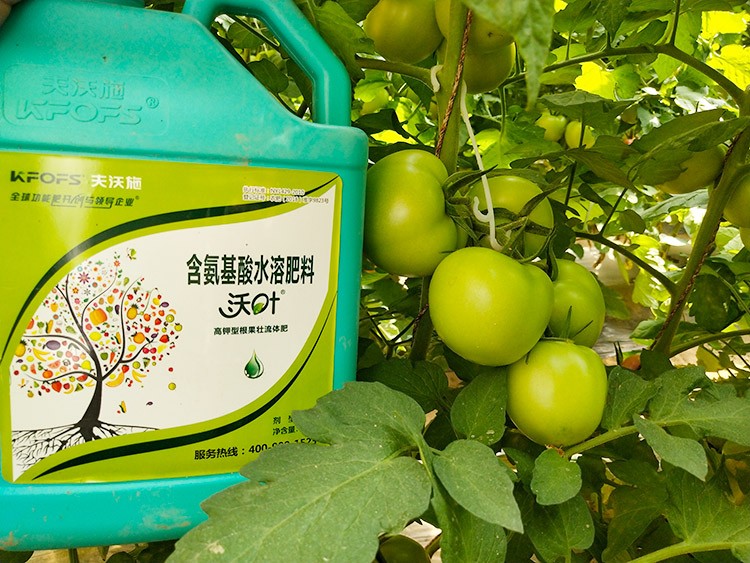 蔬菜沖施肥哪個(gè)品牌好？經(jīng)驗(yàn)實(shí)談