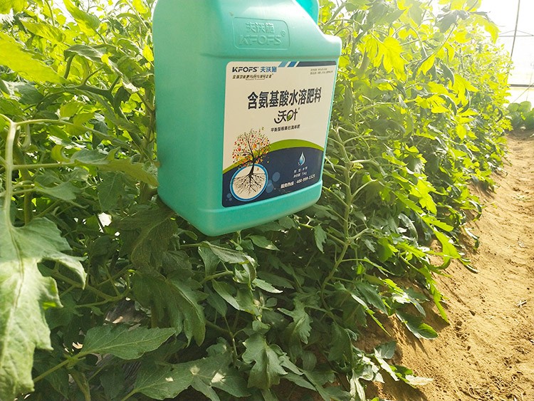 蔬菜沖施肥哪個(gè)品牌好？經(jīng)驗(yàn)實(shí)談