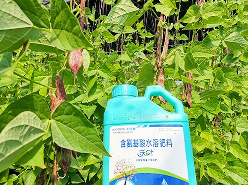 進(jìn)口水溶肥，懂行的人都這么選！