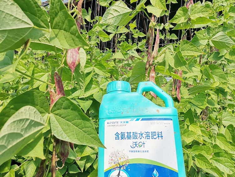 進口水溶肥，懂行的人都這么選！