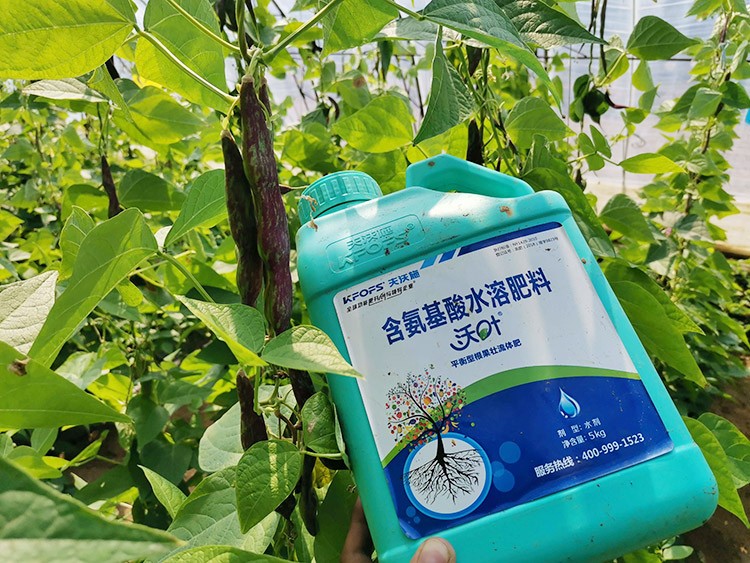 進口水溶肥，懂行的人都這么選！