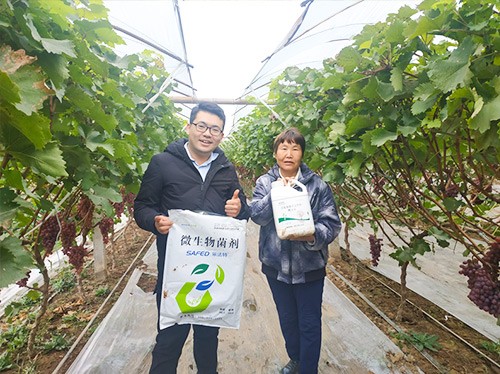 水溶肥廠家夫沃施都說好？好在哪？