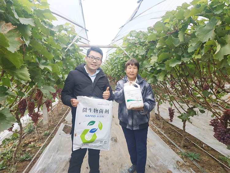 水溶肥廠家夫沃施都說好？好在哪？
