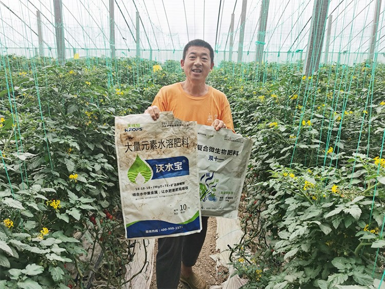 水溶肥廠家夫沃施都說好？好在哪？