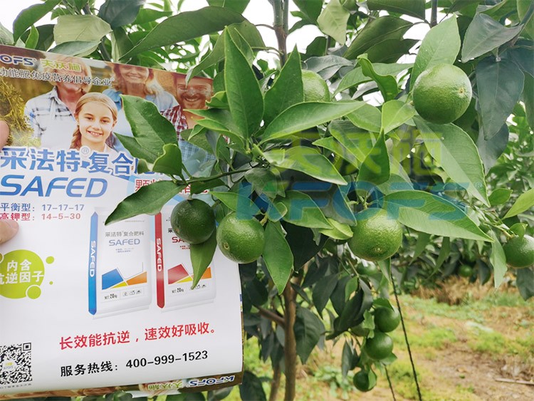 進(jìn)口水溶肥怎么選？參考這三點(diǎn)就夠了！