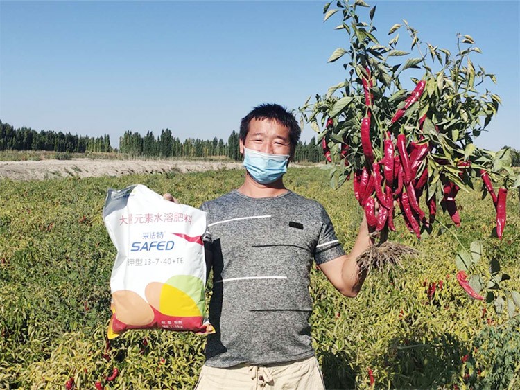 肥料廠家，有經(jīng)驗的農(nóng)資人這樣選！