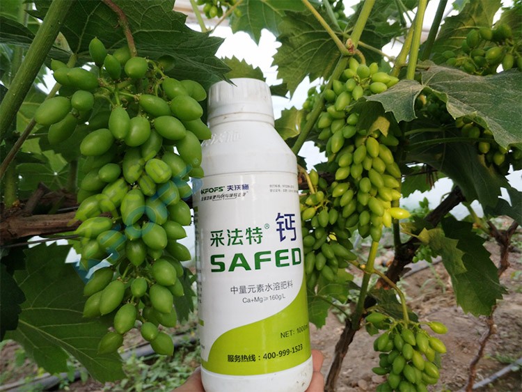 鈣肥什么品牌的比較好？