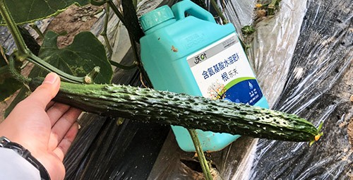 生根劑要安全不傷根，就選這個(gè)牌子！