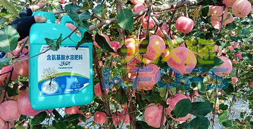 沖施肥怎么去沖施？什么牌子的好？