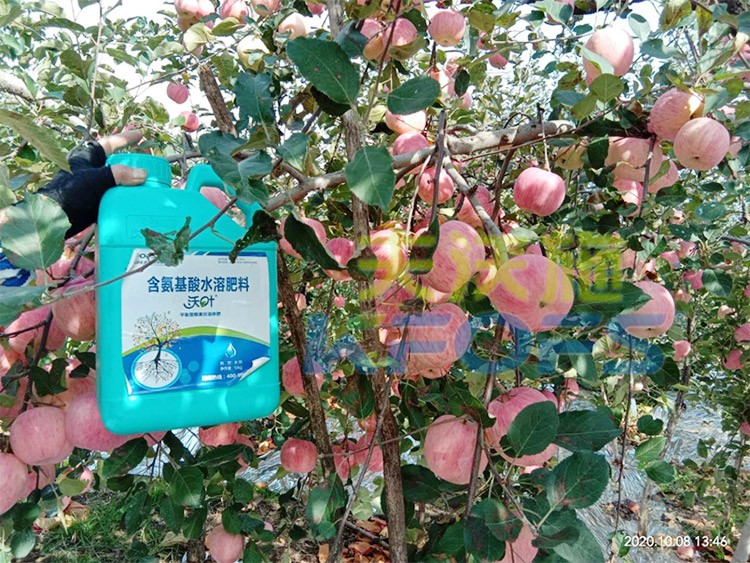 沖施肥怎么去沖施？什么牌子的好？