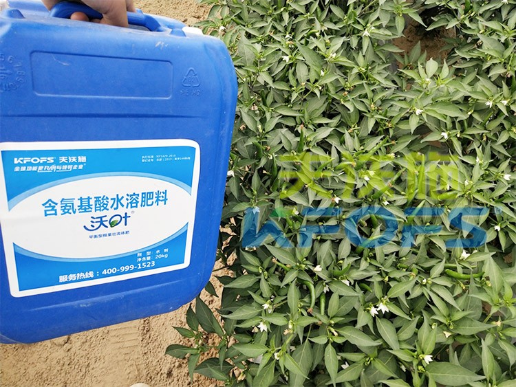 沖施肥怎么去沖施？什么牌子的好？