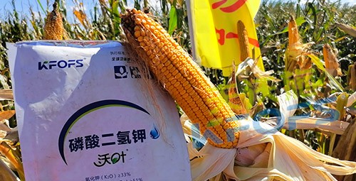 進(jìn)口磷酸二氫鉀哪個(gè)品牌好？