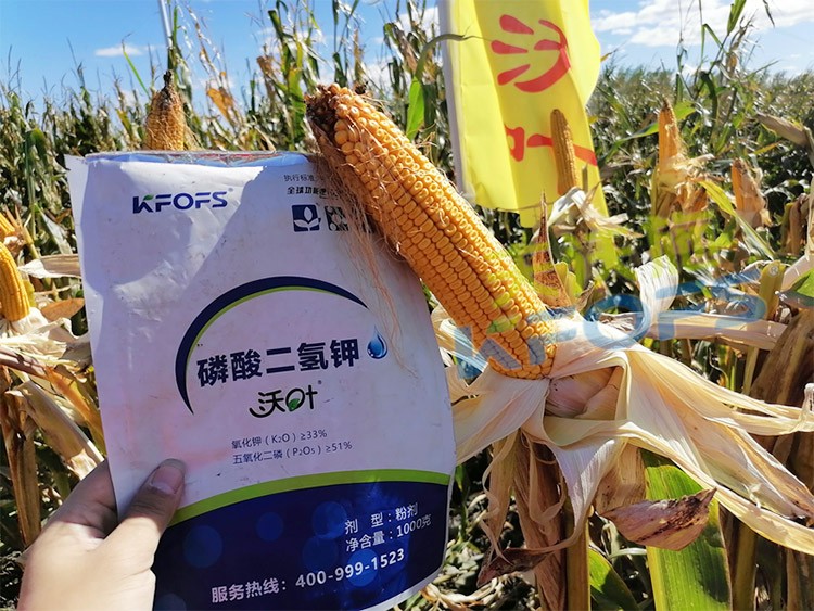 進(jìn)口磷酸二氫鉀哪個品牌好？