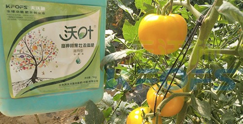 水溶肥的作用，不得不說太強(qiáng)大了！