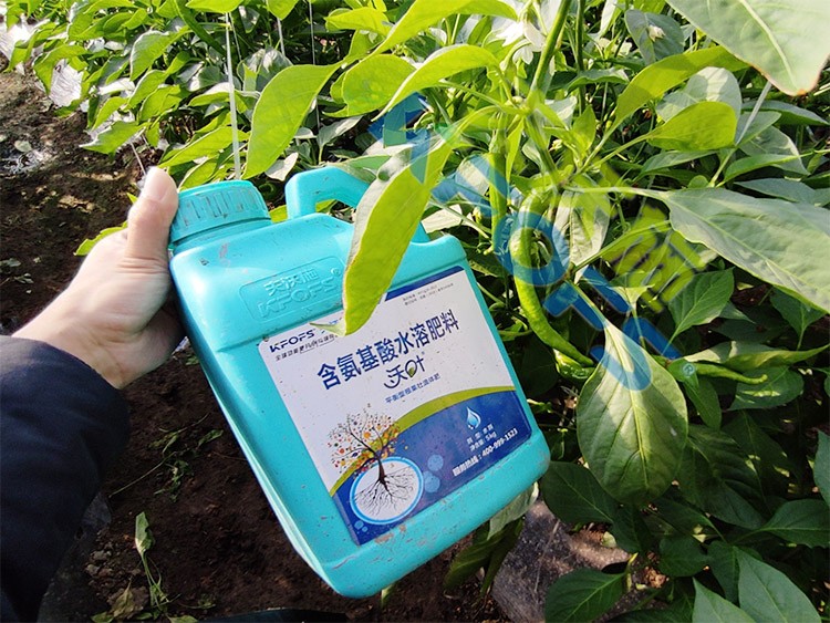 水溶肥的作用，不得不說太強大了！