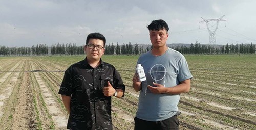 藥害還能恢復(fù)生長(zhǎng)嗎？這篇告訴你！
