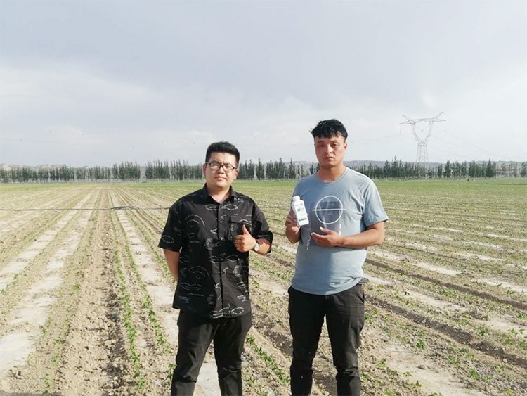 藥害還能恢復(fù)生長嗎？這篇告訴你！