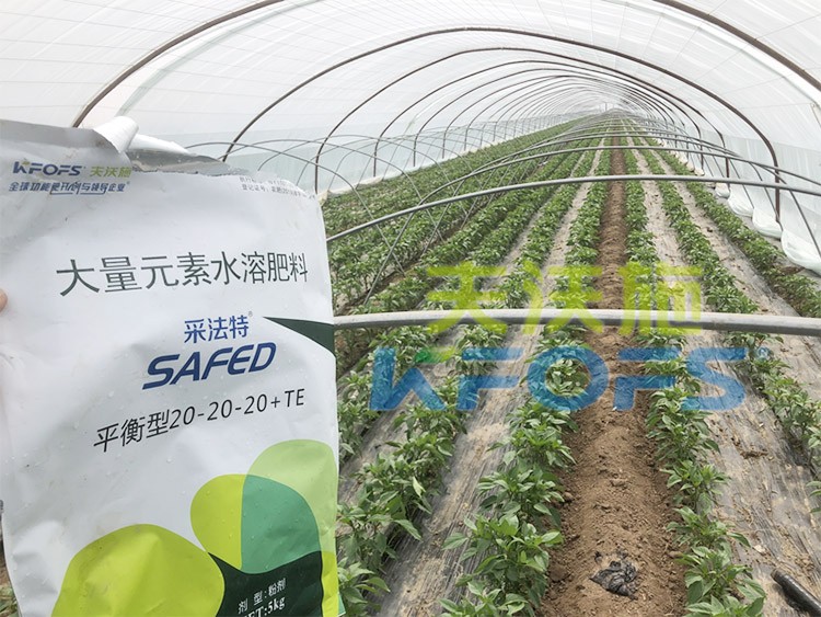 大量元素水溶肥為什么都說進口的好？