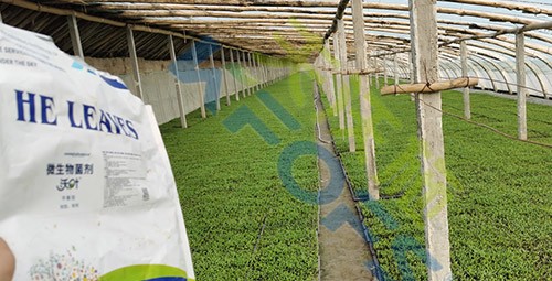 微生物菌劑廠家哪家好？
