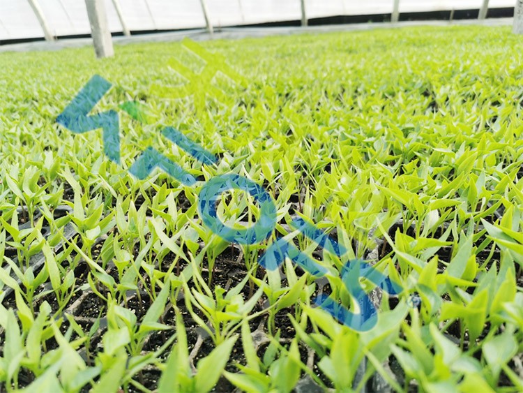 微生物菌劑廠家哪家好？