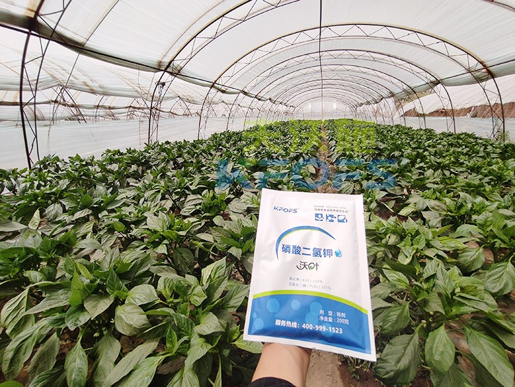 磷酸二氫鉀的正規(guī)廠家是什么樣的？