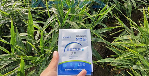 磷酸二氫鉀選這個(gè)品牌，不會(huì)錯(cuò)！
