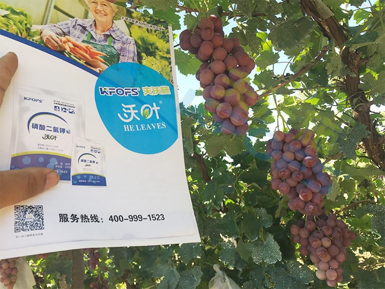 進口磷酸二氫鉀和國產有什么區(qū)別？