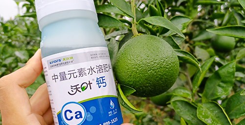 果樹補(bǔ)鈣用什么鈣肥好？