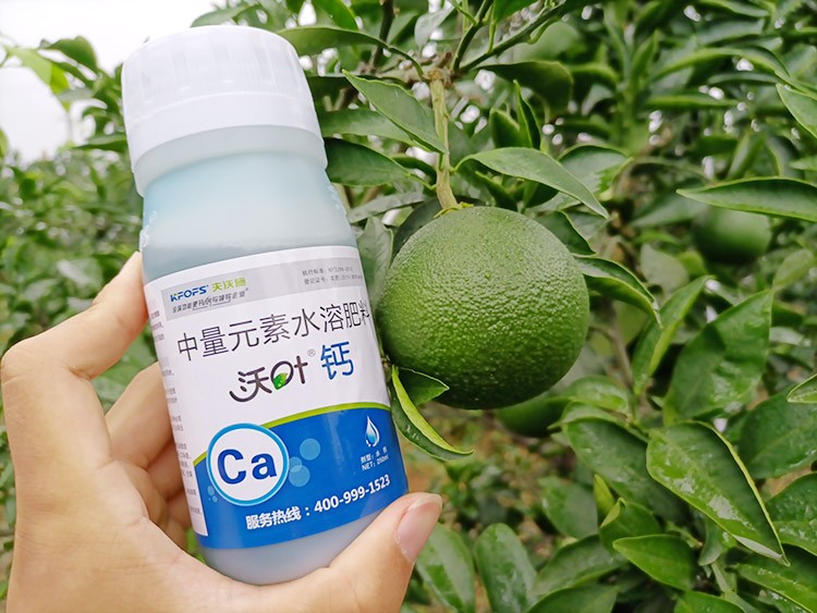 果樹補(bǔ)鈣用什么鈣肥好？