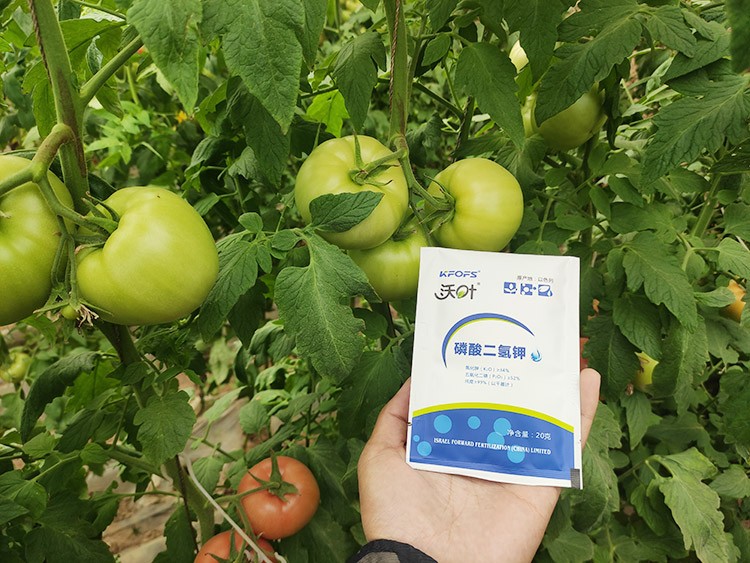 購(gòu)買磷酸二氫鉀要看哪幾點(diǎn)？