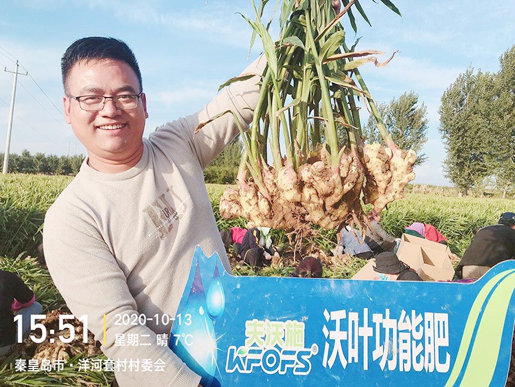 進(jìn)口水溶肥推薦你選沃葉，這就是原因！