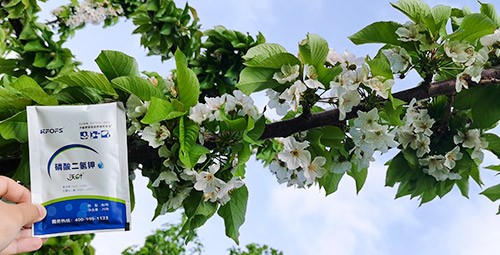 保花保果葉面肥，她就認準這個牌子！
