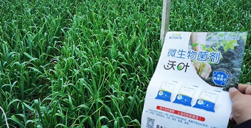 微生物菌劑選它，放心又舒心！