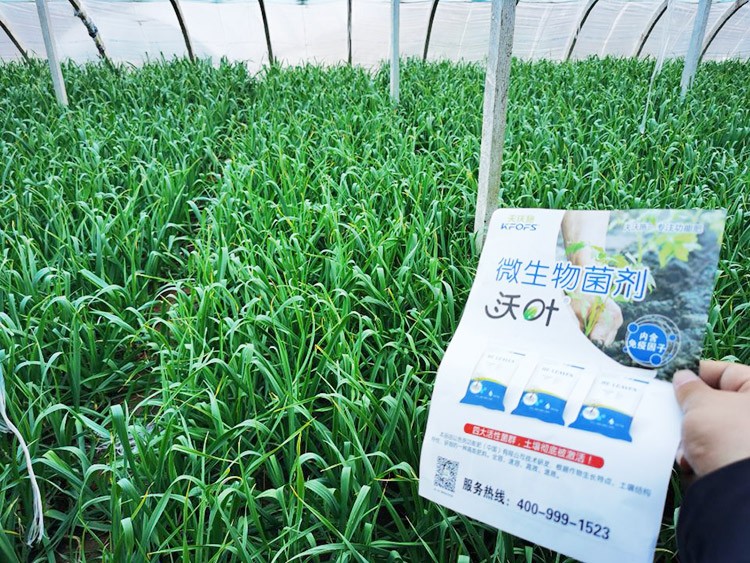 微生物菌劑選它，放心又舒心！
