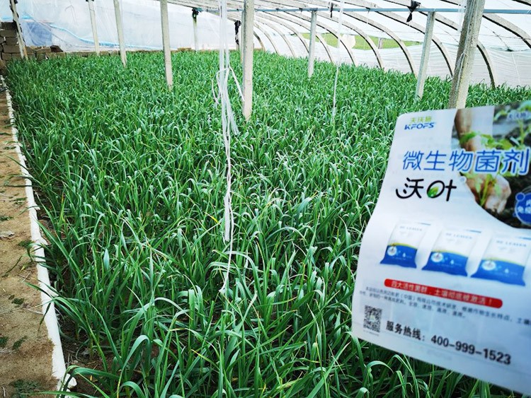 微生物菌劑選它，放心又舒心！