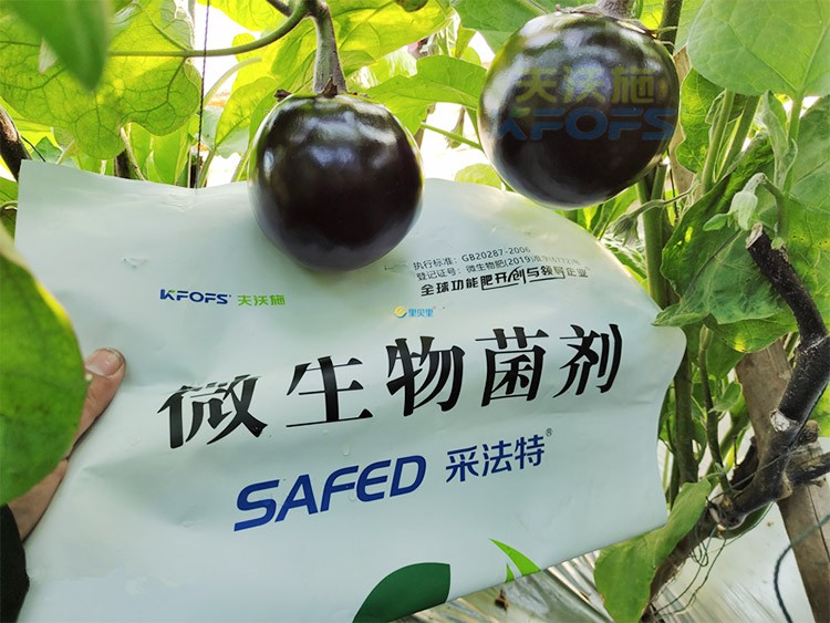 進(jìn)口水溶肥蔬菜上怎么用效果好？