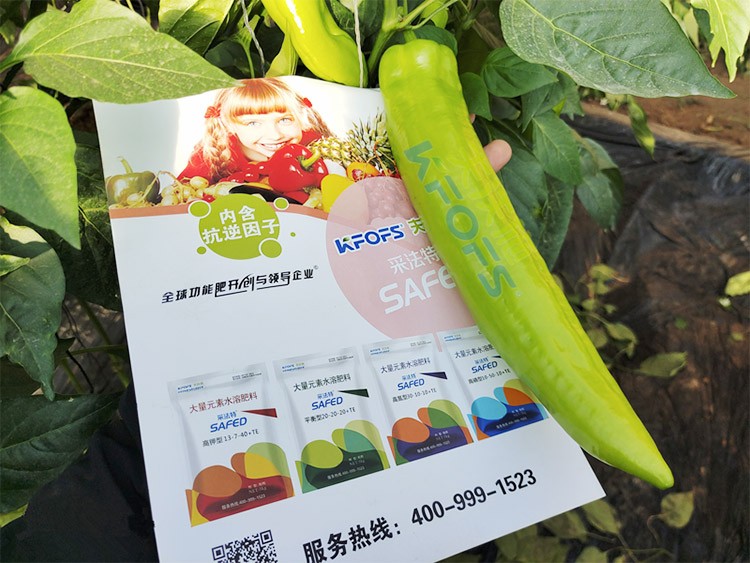 進(jìn)口水溶肥蔬菜上怎么用效果好？