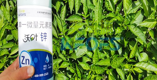鋅肥是什么肥料？辣椒用有什么好處？