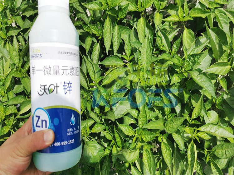 鋅肥是什么肥料？辣椒用有什么好處？