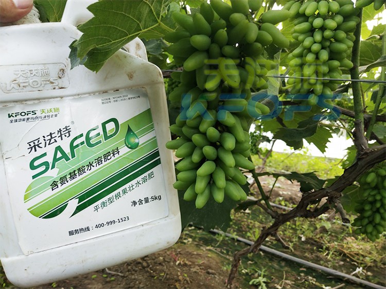 葡萄水溶肥品牌哪個好？案例告訴你！