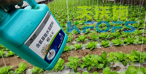 蔬菜用進(jìn)口水溶肥，有什么突出效果？